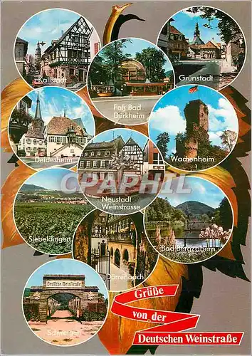 Cartes postales moderne Deutschen Weinstrasse