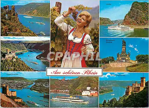 Cartes postales moderne Am Schonen Rhein