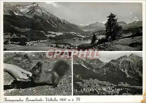 Moderne Karte Ferienparadies Lenzerheide Valbella Grisons Ecureuil