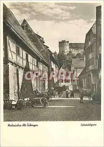 Cartes postales moderne Malerisches Alt-Tubingen Salzstadelgasse