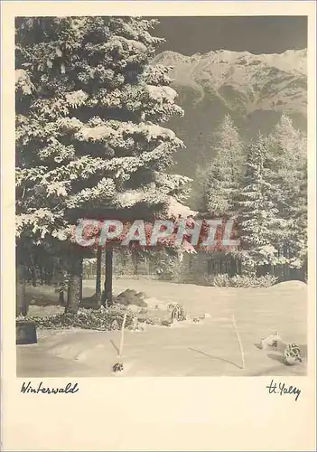 Cartes postales moderne Winterwald Schwalm