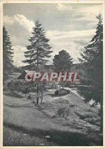 Cartes postales moderne Blu Reinickendorf