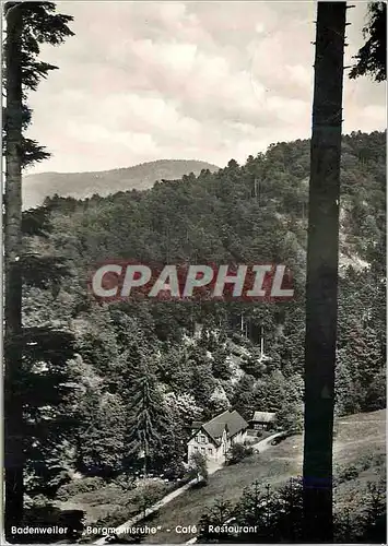 Cartes postales moderne Badenweiler Bergmannstruhe Caf�-Restaurant