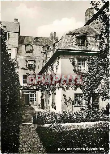 Cartes postales moderne Bonn Beethoven's Geburtshaus
