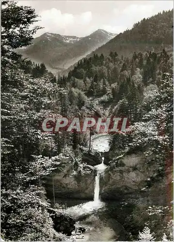 Cartes postales moderne Buchenegger Wasserfalle Steibis Bayr Allgau