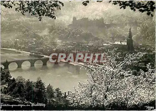 Cartes postales moderne Frikliugsmergen in Heidelberg