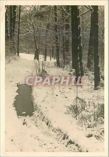 Cartes postales moderne Winter Munster Nurnberg