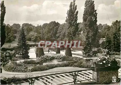 Cartes postales moderne Berlin Botanischer Garten Lichterfelde