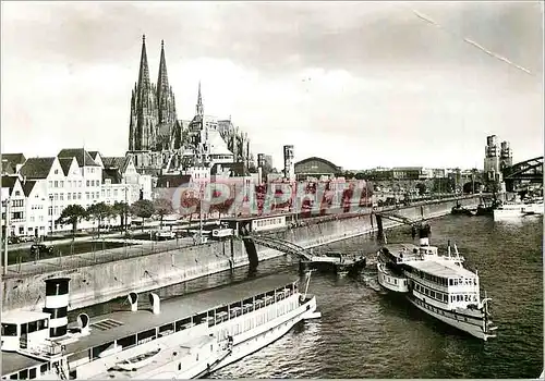 Cartes postales moderne Koln am Rhein Rheinuter