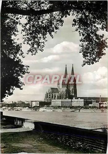 Cartes postales moderne Koln am Rhein Dom Rheinfront