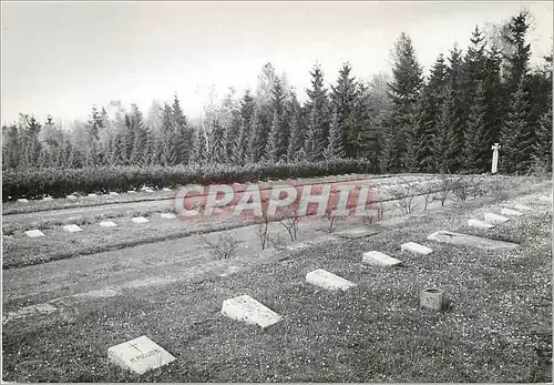 Cartes postales moderne Grave of Prisoners at the Waldfriedhof in Dachau