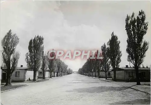 Cartes postales moderne Dachau Lagerstrasse