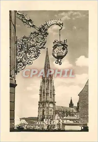 Cartes postales moderne Freiburg I Br Munster