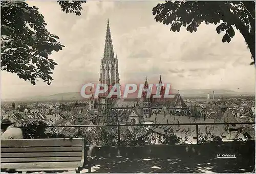 Moderne Karte Freiburg I Br La Cathedrale vue du Schlossberg