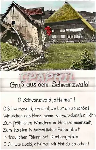 Cartes postales moderne Schwarzwald