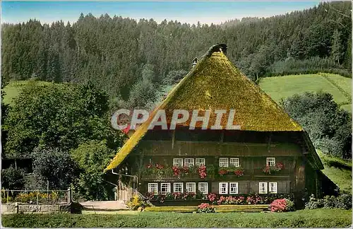 Cartes postales moderne Schonen Schwarzwald Bauernhaus Staufen