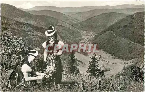 Cartes postales moderne Feldberg Schwarzwald Wiesetalblick mit Trachtengruppe Folklore