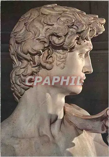 Moderne Karte Firenze Galleria D'Accademia - David di Michelangelo Monument Particolare