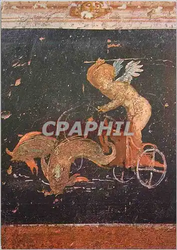 Cartes postales moderne Pompei Scavi - Casa dei Vetti - Amorino che guida due delfini mosaic