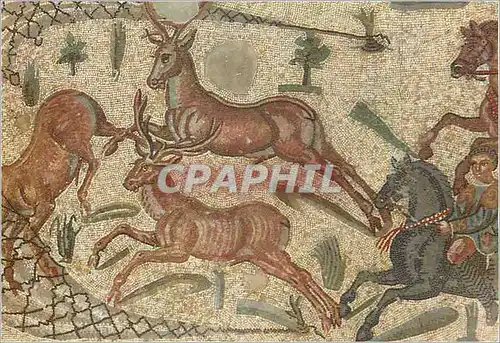 Moderne Karte Ignoto - Ambulacro della Caccia Mosaic