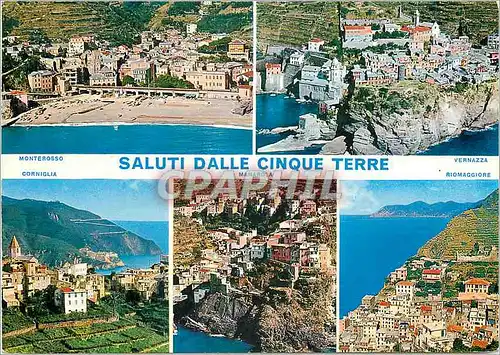 Cartes postales moderne Cinque Terre Italia