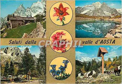 Cartes postales moderne Valle D'Aosta