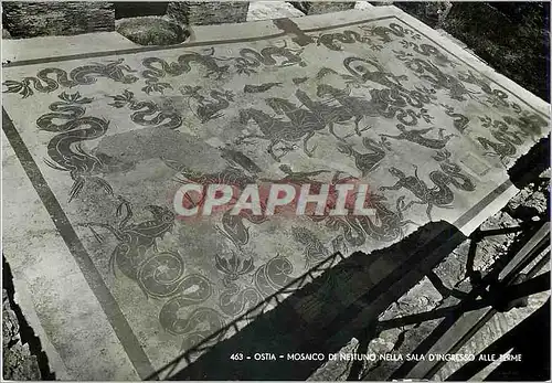 Cartes postales moderne Ostie Roma - Mosaico di Neptuno nella sala d'Ingresso