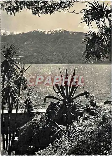 Cartes postales moderne Isole di Brissago - Parco botanico del Cantone Ticino