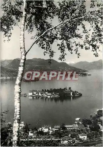 Cartes postales moderne Isole Borromee Lago Maggiore Lombardia