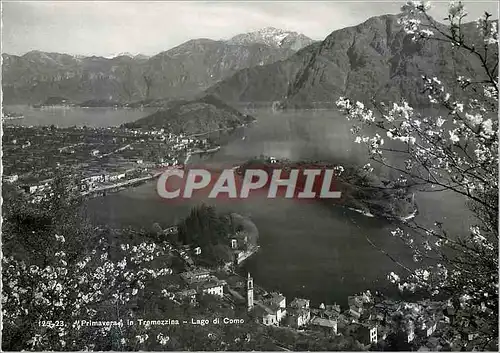 Cartes postales moderne Lago di Como - Primavera in Tremezzina