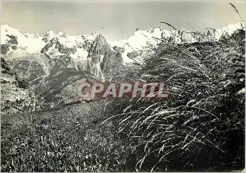 Cartes postales moderne Alpi Italiani