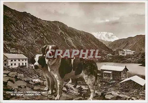 Moderne Karte Albergo Italia Bar-Ristorante Confori moderno Aosta Chien