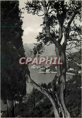 Cartes postales moderne Malcesine sul Garda - Verona