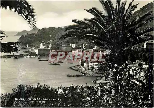 Cartes postales moderne Genova S. Margherita Ligure - Fra le palme