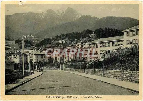 Cartes postales moderne Cavalese Trento - Via della Liberta