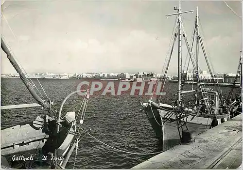 Cartes postales moderne Gallipoli Il Porto Bateaux