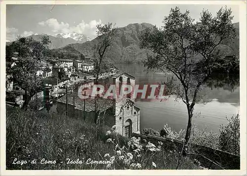 Cartes postales moderne Lago di Como Asala Comacina Avanzi di Secoli Nel Rifiorire della Natura
