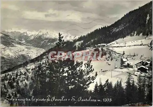 Moderne Karte Sole e Neve Tra Le Pinete di Peroulaz e S Pantaleon m 1375