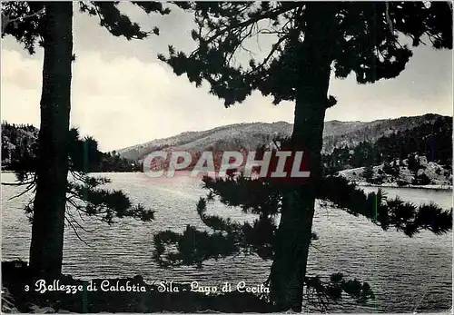 Cartes postales moderne Bellezze di Calabria Sila Lago di Cecifa