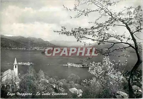 Cartes postales moderne Lago Maggiore Le Isole Borromeo