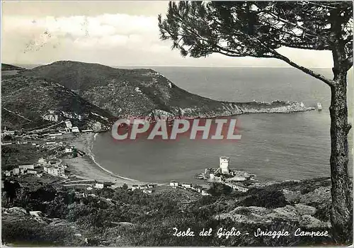 Cartes postales moderne Isola Del Giglio Plage du Comprese