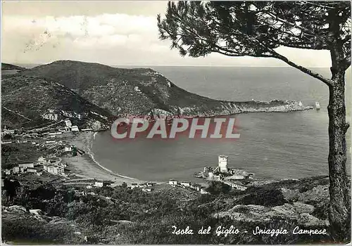 Moderne Karte Isola Del Giglio Plage du Comprese