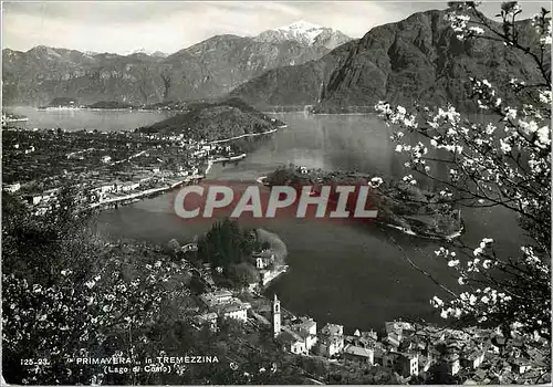 Cartes postales moderne Primavera in Tremezzina (Lago di camo)