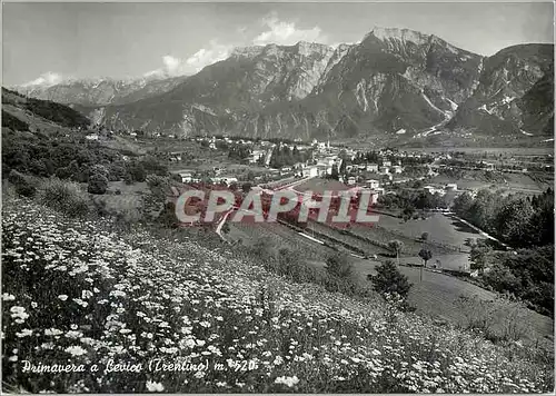 Cartes postales moderne Primavera a Livico (Trentino) m 520
