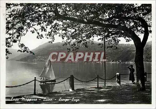 Cartes postales moderne Lago Maggiore Luino Lungo Lago