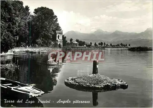 Moderne Karte Torre Del Lago Puccini Un Coin Pittoresque