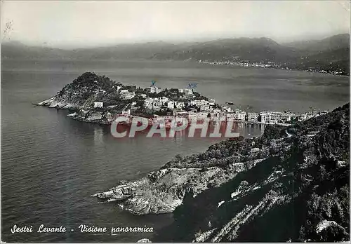 Cartes postales moderne Sestri Levante Visione Panoramica