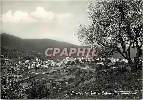 Cartes postales moderne Riviera dei Fiori Coldirodi Panorama