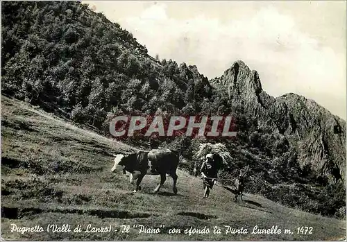 Cartes postales moderne Pugnetto (Valli di Lanzo) Il Piano Con Sfondo la Punta Lunelle m 1472 Folklore