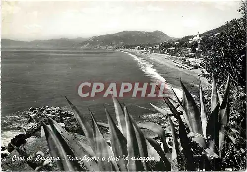 Moderne Karte Cavi di Lavagna Tra Agave e Fiori la Spiaggia